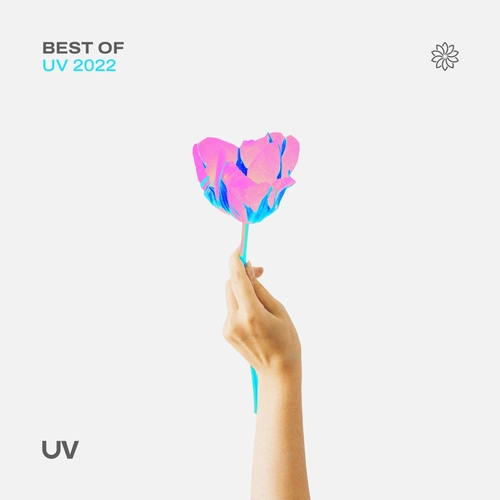 VA - Best of UV 2022 [UVDC2022]